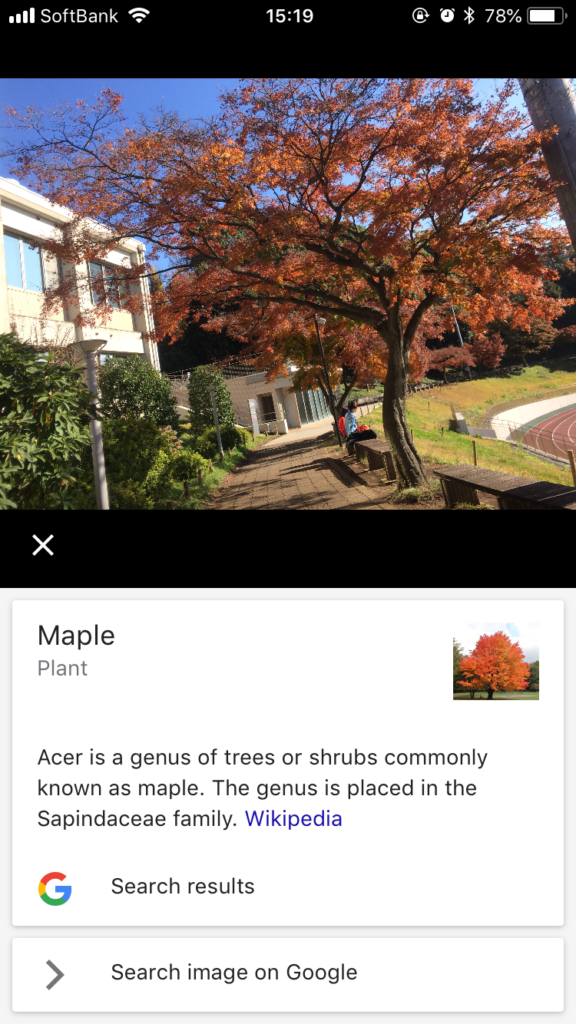 Google Lens3(Maple)