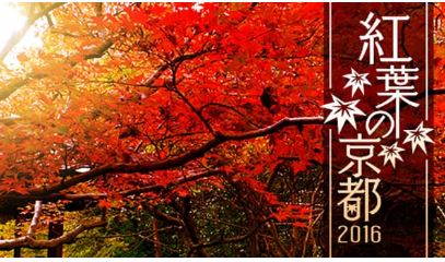 紅葉の京都