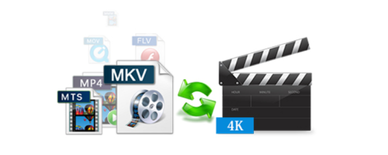 4Videosoft 動画変換 プラチナ