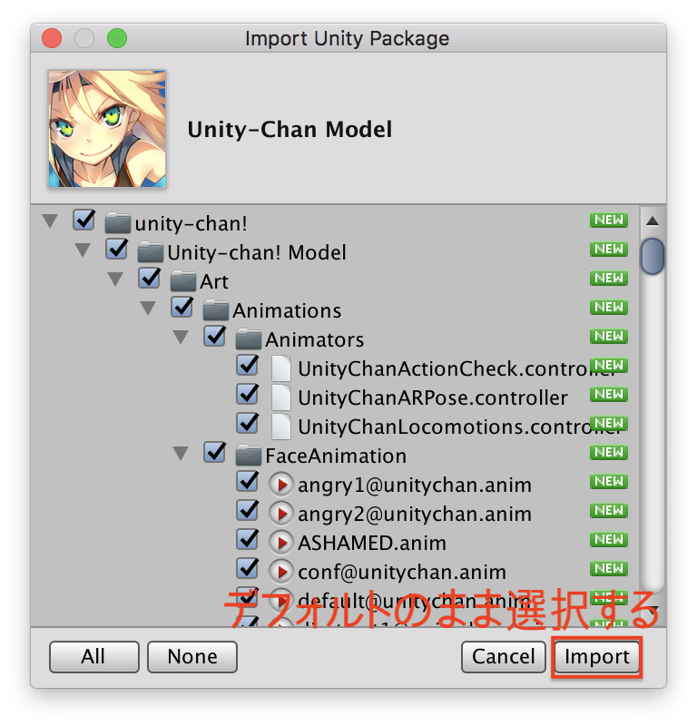 UnityChanインポート画面