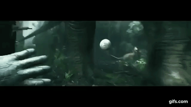 robinson the journey