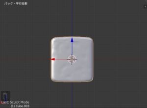 スカルプト_背面